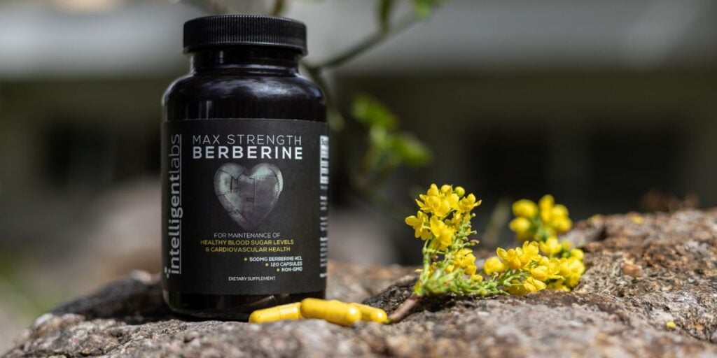 featured image for article on berberine as one of metformin alternatives