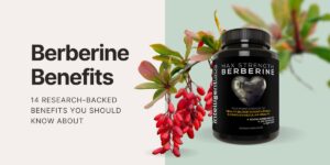 featured image for blog on berberine benefits