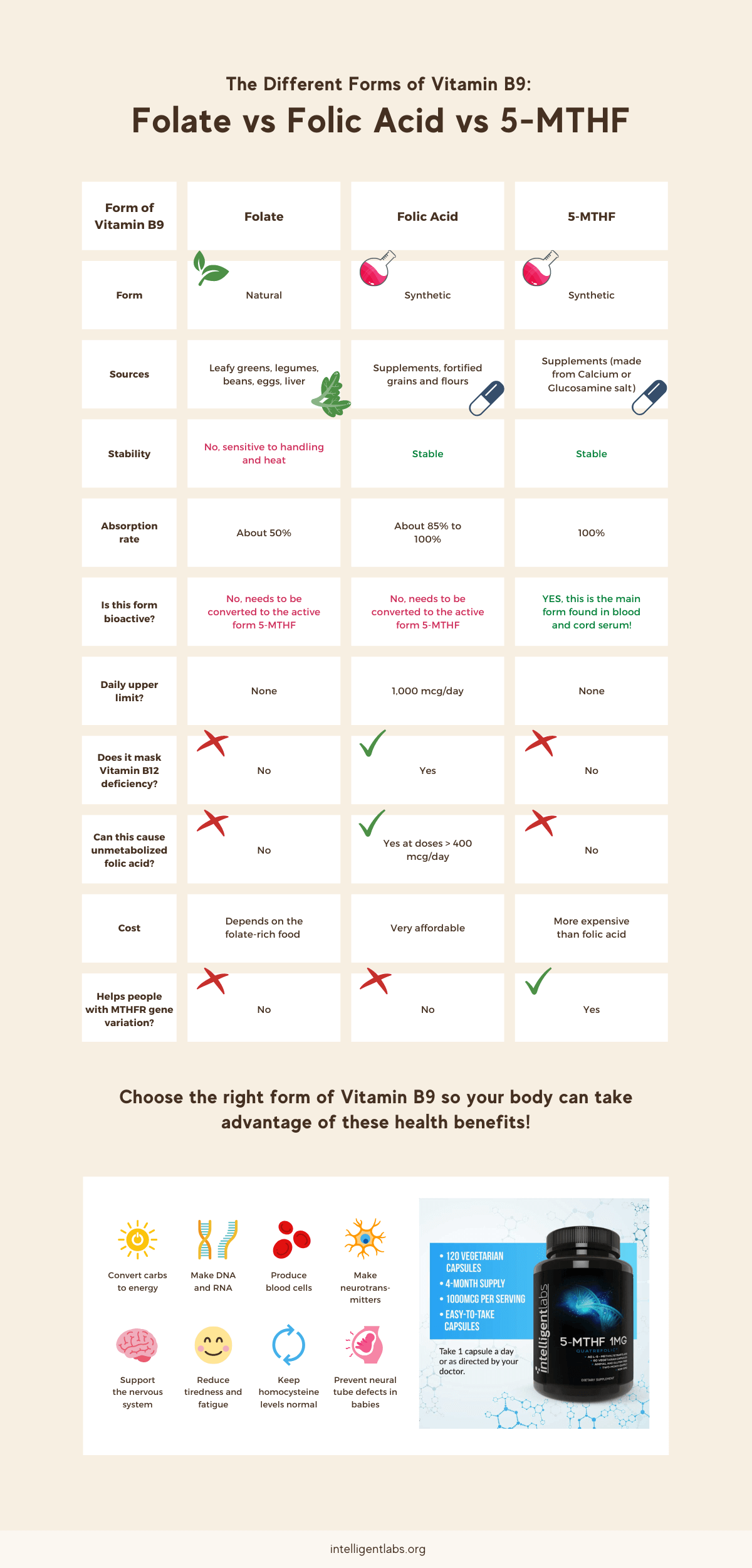 the different forms of vitamin B9 - folate vs folic acid vs 5-mthf